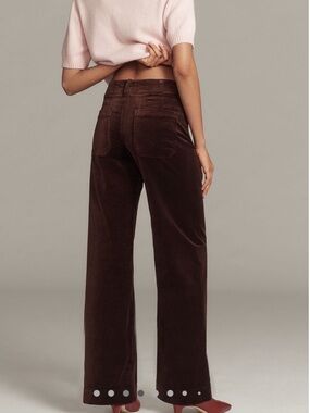 Anthropologie COLETTE Full-Length Wide-Leg Velvet Pants Maeve NEW Size 30 Brown